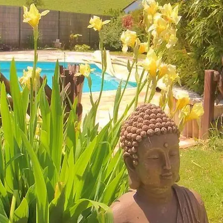 Appartement La Belle Etape, Avec Piscine Et