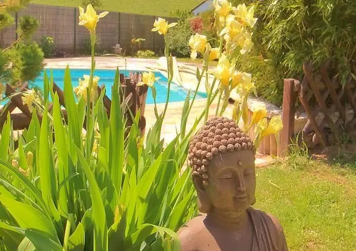 Apartament La Belle Etape, Avec Piscine Et